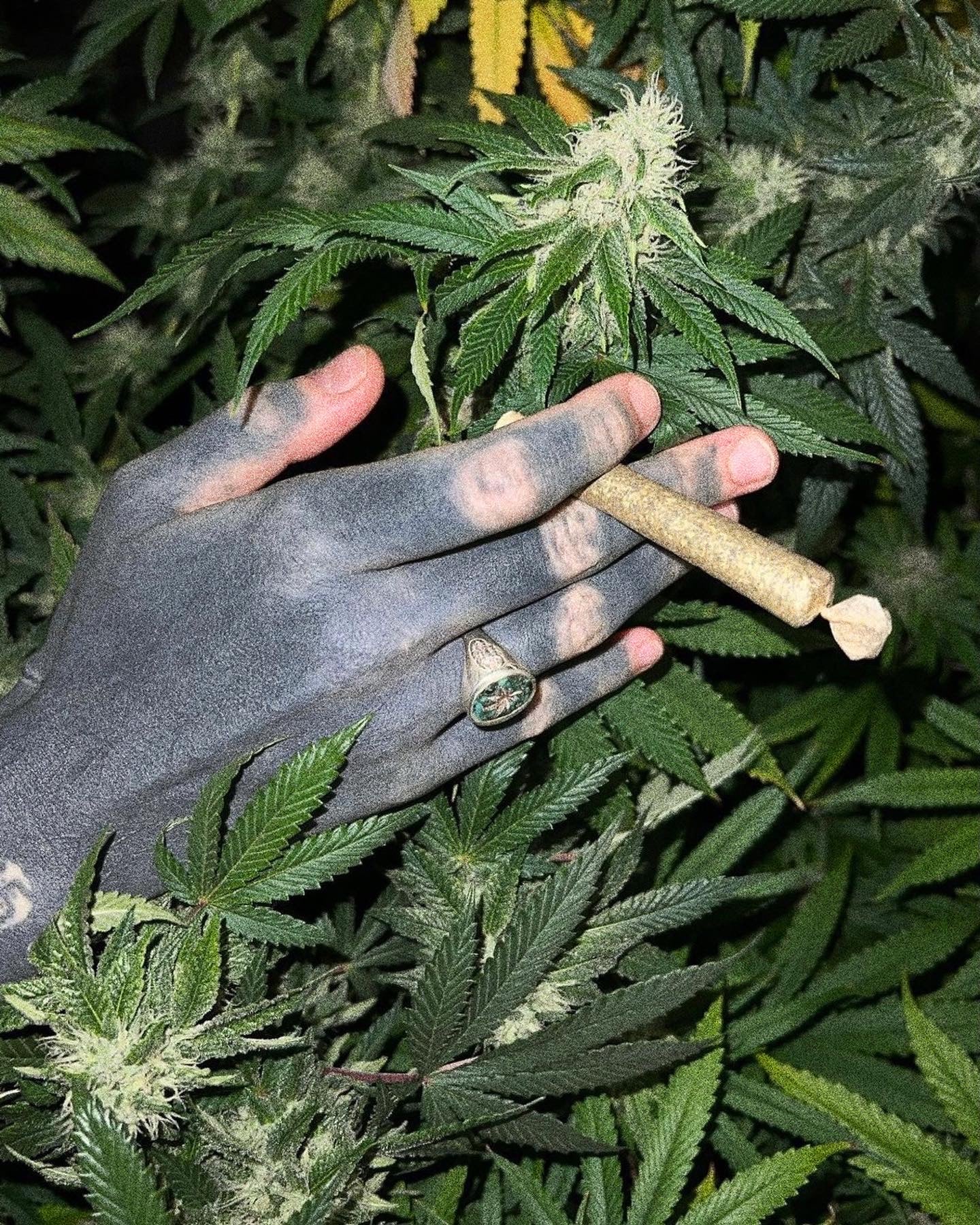 Scorpion Souvenir Ring