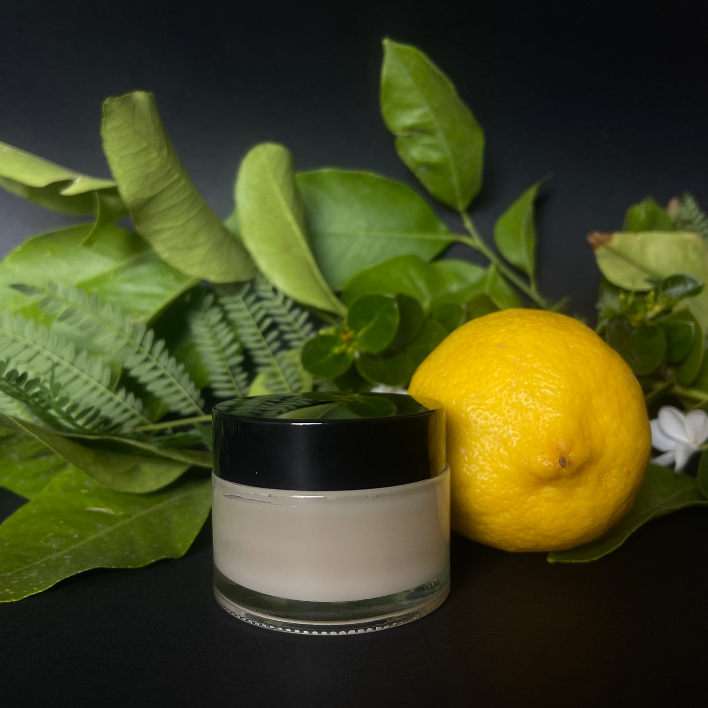 Soul-In-Fusions: Wisdomist