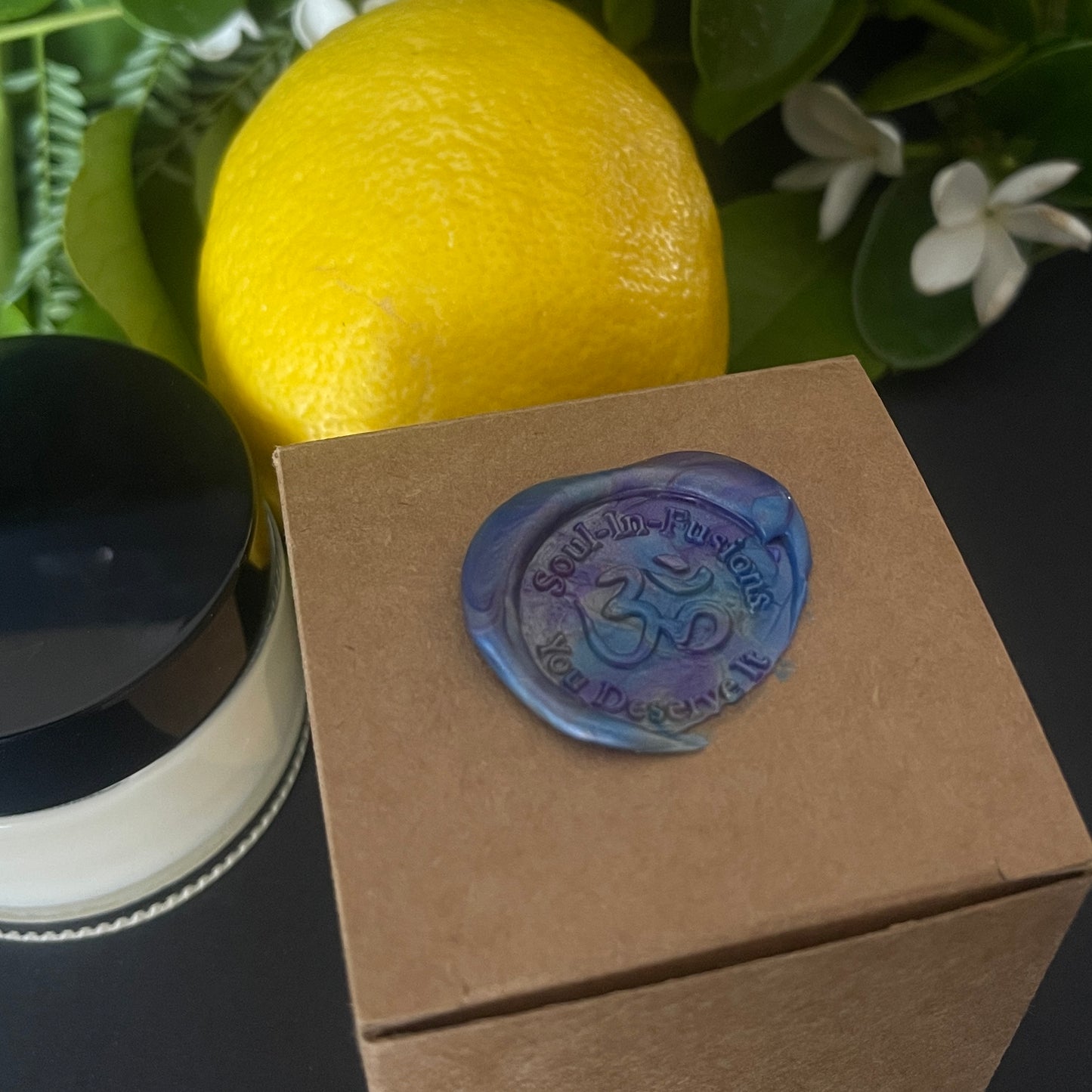 Soul-In-Fusions: Wisdomist