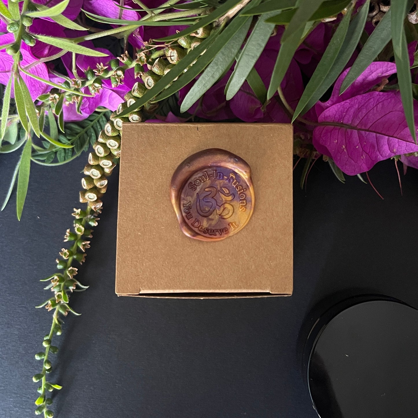 Soul-In-Fusions: The Healer