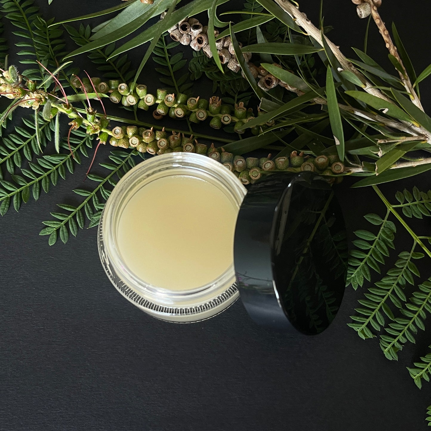 Soul-In-Fusions: Wisdomist