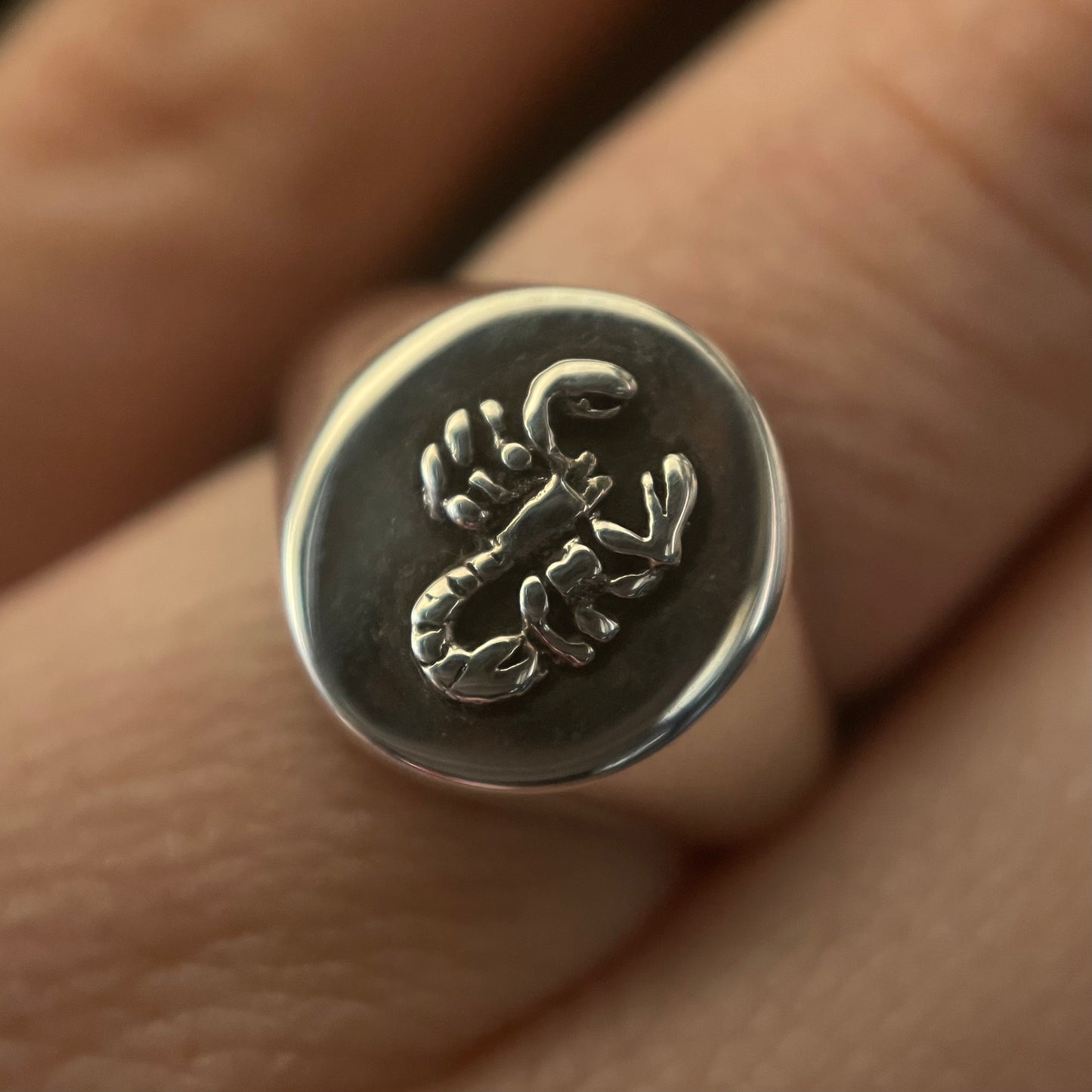 Silver Scorpion Signet Ring