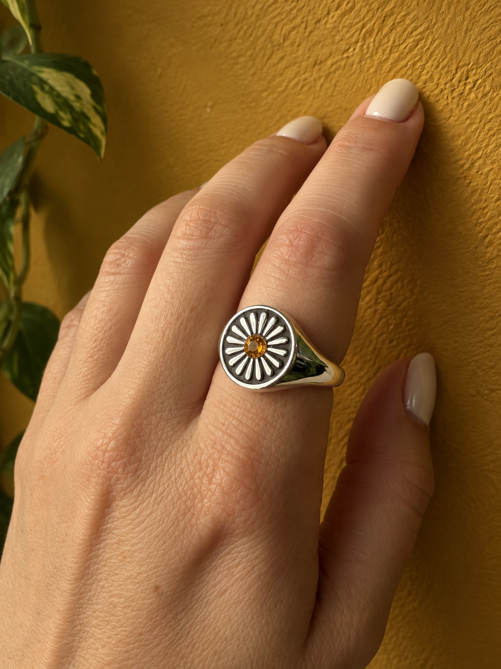 The Sacred Chakra Ring