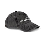 "ANTI-ESTABLISHMENT" Vintage Style Embroidered Hat