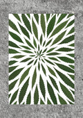 Malana Cream Print (A1)