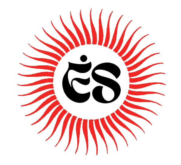 Electric Sun 