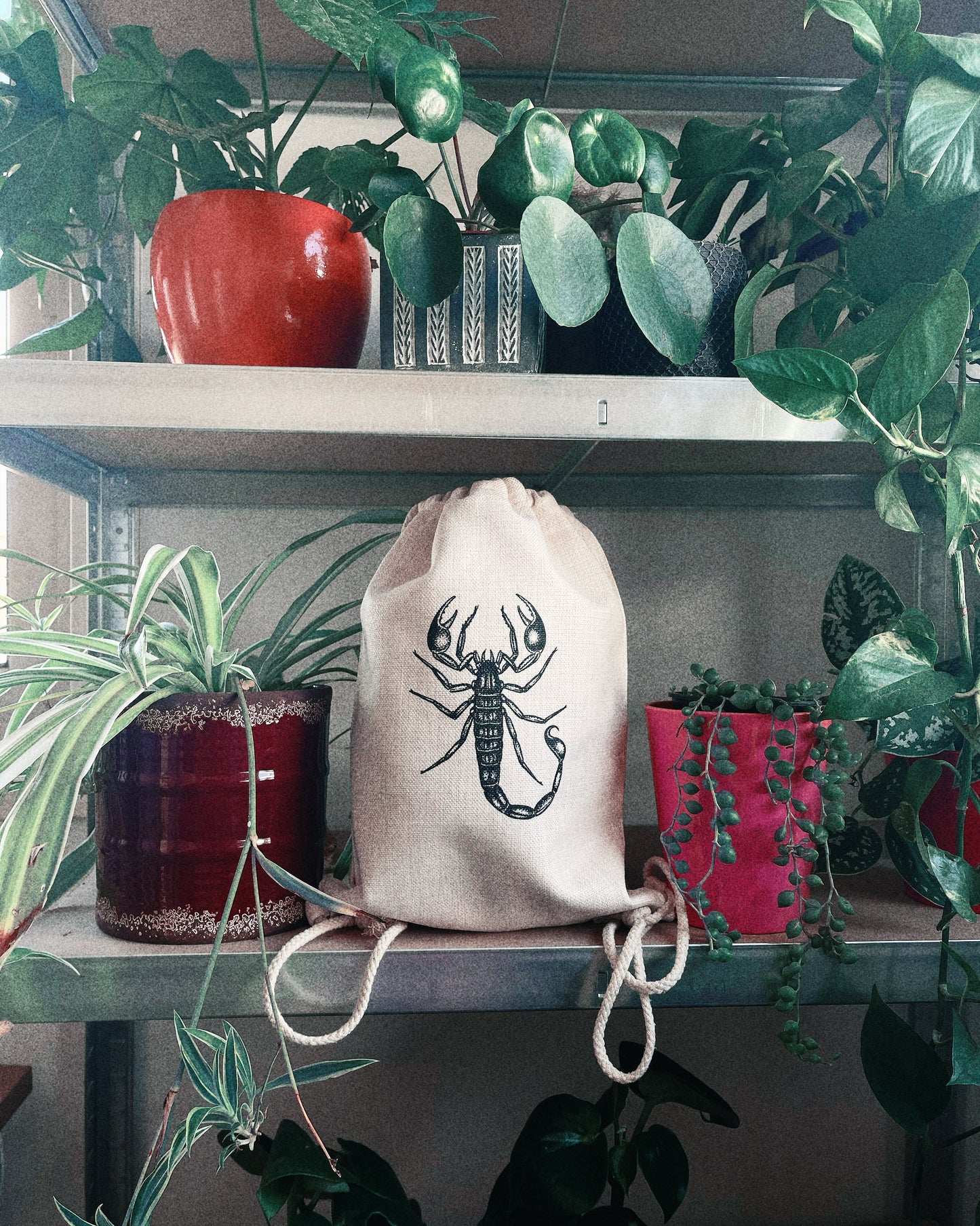 Reusable Scorpion String Backpack